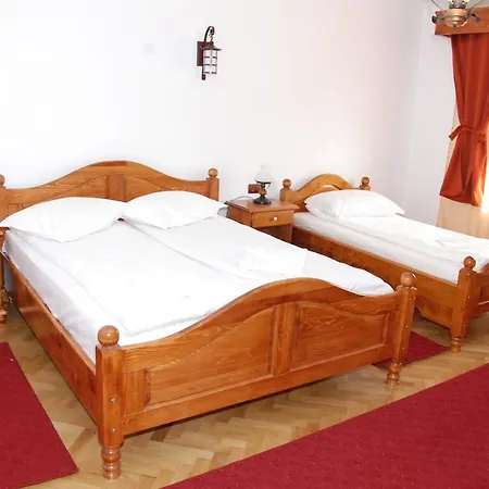 Vila Nicoleta Nagyszeben